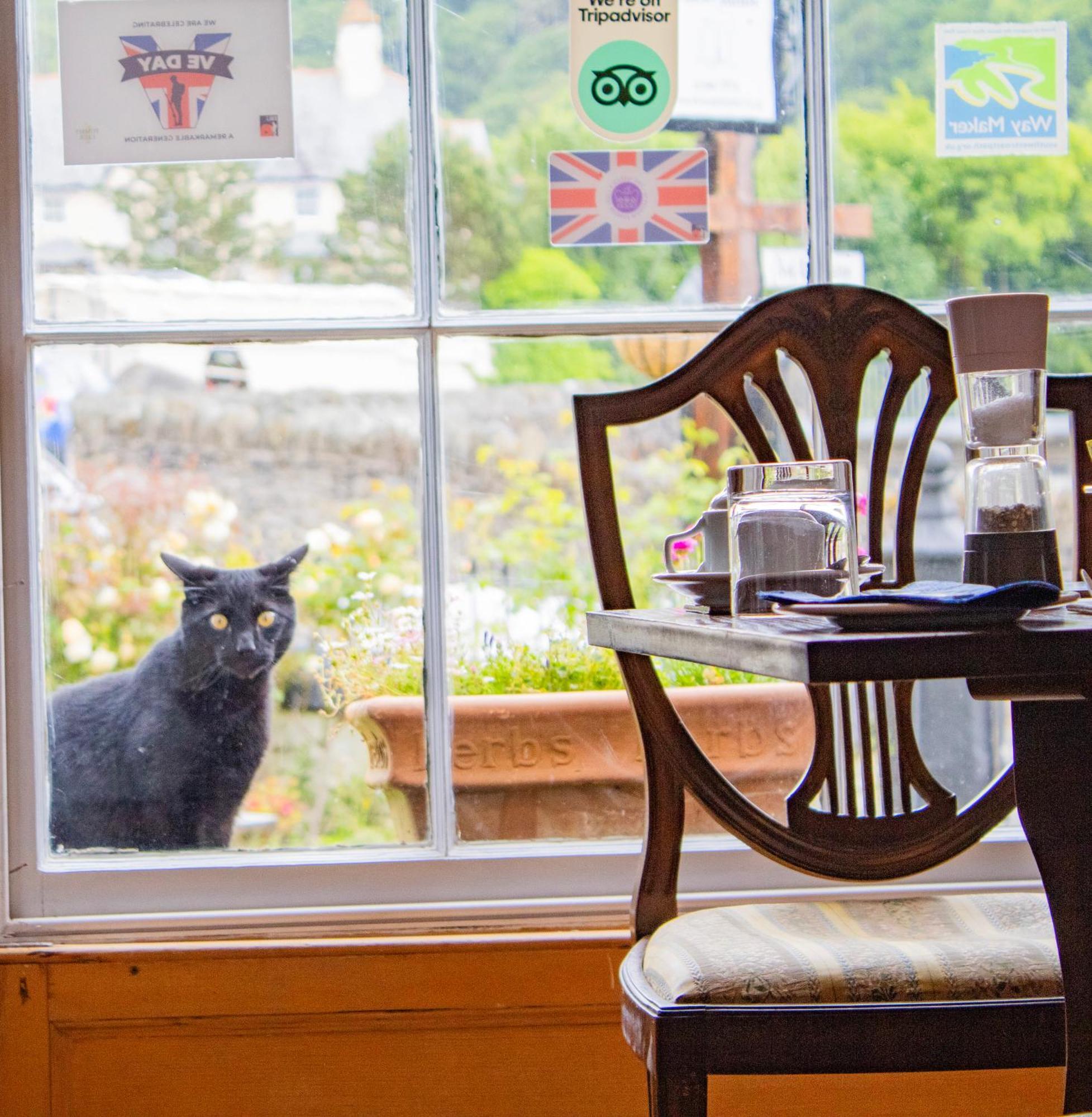 St Vincent Guest House Lynton Buitenkant foto